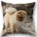Axyaa Pomeranian Dog Pillowcase Cotton Linen Square Zipper 45X45cm Wedding Decor Pillow cover