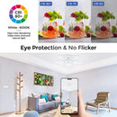 Axyaa Dimmable LED Chandelier Ceiling Lamp with Remote Control