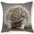 Axyaa Lovely Little Hedgehog Design Cushion Cover for 45*45cm Sofa Pillow