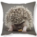 Axyaa Lovely Little Hedgehog Design Cushion Cover for 45*45cm Sofa Pillow