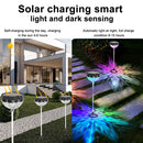 Axyaa Solar Garden Lights Outdoor RGB Warm White Landscape Decor Waterproof