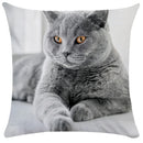Axyaa Black Cat Bubble Pillow Cases - Premium Animal Cushion Cover for Home Decor