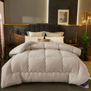 Axyaa Winter Antibacterial Class A Cotton Quilt - 6kg Single/Double Space Quilt