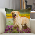 Axyaa Golden Retriever Dog Sofa Pillowcase for home decor
