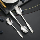 Axyaa Stainless Steel Long Handle Square Spoon Set for Dining and Desserts