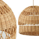 Axyaa Rattan Pendant Light for Living Room and Restaurant Decor