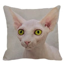Cute Axyaa Sphinx Cat Cushion Cover 45X45cm - Home Sofa Decoration Pillowcase