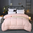 Axyaa Winter Hotel Style Quilted Comforter Queen King 220x240 - Warm & Cozy