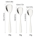 Axyaa Stainless Steel Large Rice Shovel Set for Kitchen Service