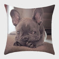Axyaa French Bulldog Polyester Cushion Cover - Modern Sofa Throw Pillow Cover