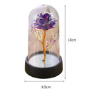 Axyaa Galaxy Rose LED Eternal Flower Lamp Nightlight - Perfect Valentine's Day Wedding Gift