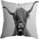 Axyaa Nordic Yak Oxen Highland Cow Cushion Cover for Home Hotel Sofa Bed
