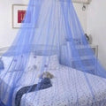 Axyaa Double Bed Mosquito Net Canopy Tent Insect Repellent Curtain Bed Tent