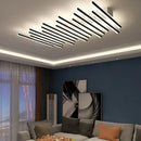 Axyaa Modern Elegant Ceiling Light for Living Room and Hallway
