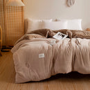 Axyaa Double-Sided Milk Fleece Winter Quilt Core - Thickened & Warm