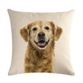 Axyaa Dog Cushion Covers Collection