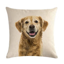 Axyaa Dog Cushion Covers Collection