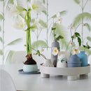 Axya Nordic Round Storage Tray for Jewelry and Table Decoration