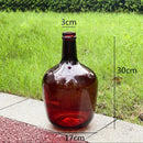 Axyaa Glass Vase: Big Belly Flower Arrangement Hydroponics Home Decoration