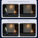 Axyaa Solar Outdoor Garden Lamps - LED Induction Landscape Lighting