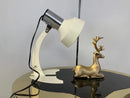 Axyaa Fishtail Metal Table Lamp with Tricolored E27 Bulb