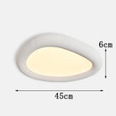 Axyaa Nordic Smart LED Ceiling Light for Home Decor Salon Bedroom Lighting