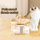 Axyaa Pet Automatic Water Fountain With LED Light - Ultra Silent & USB Powered