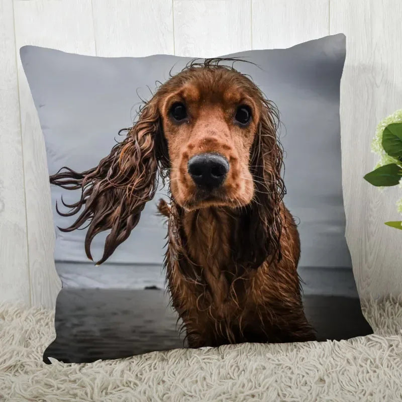 Axyaa Cocker Spaniel Sofa Cushion Cover - Creative and Simple Home Decor