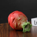 Axyaa Pitaya Ceramic Vase Hydroponic Desktop Small Mouth Vase Artistic Flower Vessel
