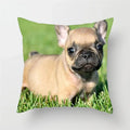 Axyaa French Bulldog Cushion Cover - 45X45CM