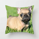Axyaa French Bulldog Cushion Cover - 45X45CM