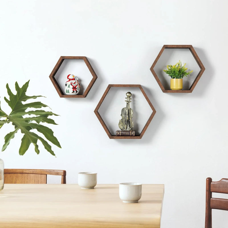 Axya Wooden Hexagonal Succulent Plant Frame Wall Decoration Frame