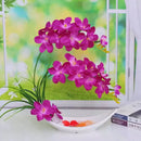 Axyaa Simulated Butterfly Orchid Ceramic Flowerpot Set for Home Decoration