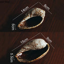Axyaa Conch Ceramic Dinner Plate for Molecular Cuisine, Restaurant, and Sushi