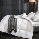 Axyaa Luxe Goose Down Quilt | Fluffy Queen King Size Duvet with Cotton Shell