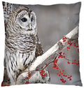 Axyaa 3D Animal Themed Cushion Covers (18" x 18") - Cute Designs