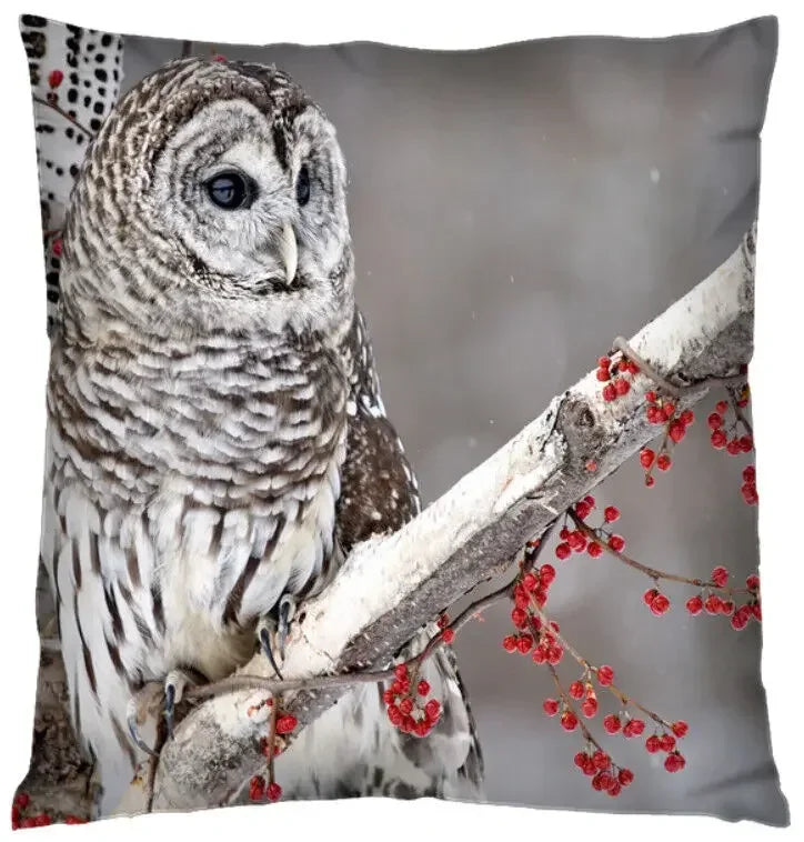 Axyaa 3D Animal Themed Cushion Covers (18" x 18") - Cute Designs