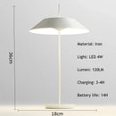 Axyaa Rechargeable Dimmable Desk Lamp Modern Romantic LED Night Light