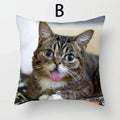Cat Pattern Cushion Cover 45x45cm - Ideal Sofa & Home Decor Gift by Axyaa