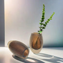 Axyaa Frosted Glass Vase: Elegant Floral Arrangement Home Decor & Hydroponics Accessory