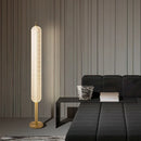 Axyaa LED Floor Lamp: Minimalist Remote Control Dimming Nordic Ins Style Vertical Light