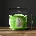 Axyaa Cabbage Flowerpot: Creative Cartoon Vegetable Basin with Tray - Garden Vase