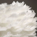 Branded Axyaa Feather Crystal Pendant Lamp for Indoor Lighting Decoration