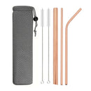 Axyaa Stainless Steel Smoothie Straws - Set of 6 with Cleaning Brush