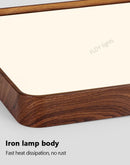 Axyaa Modern Minimalist Ceiling Lamp for Luxurious Bedroom Lighting