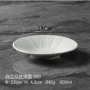 Axyaa Deep Plate: Creative Hotel Restaurant Table Setting Dinner Plate