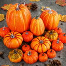 Autumn Pumpkin Set by Axyaa - 16pc Foam Decorative Pumpkins for Thanksgiving, Halloween & Fall