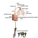 Axyaa Nordic LED Flower Wall Light - Glass Brass Indoor Decor