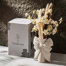 Axyaa Ceramic Vase White Hydroponic Flower Pot Elegant Gift Box Decoration