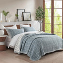 King Size Cotton Quilt Bedding Set, Botanical Pattern, Lightweight Quilted Bedspread - Axyaa